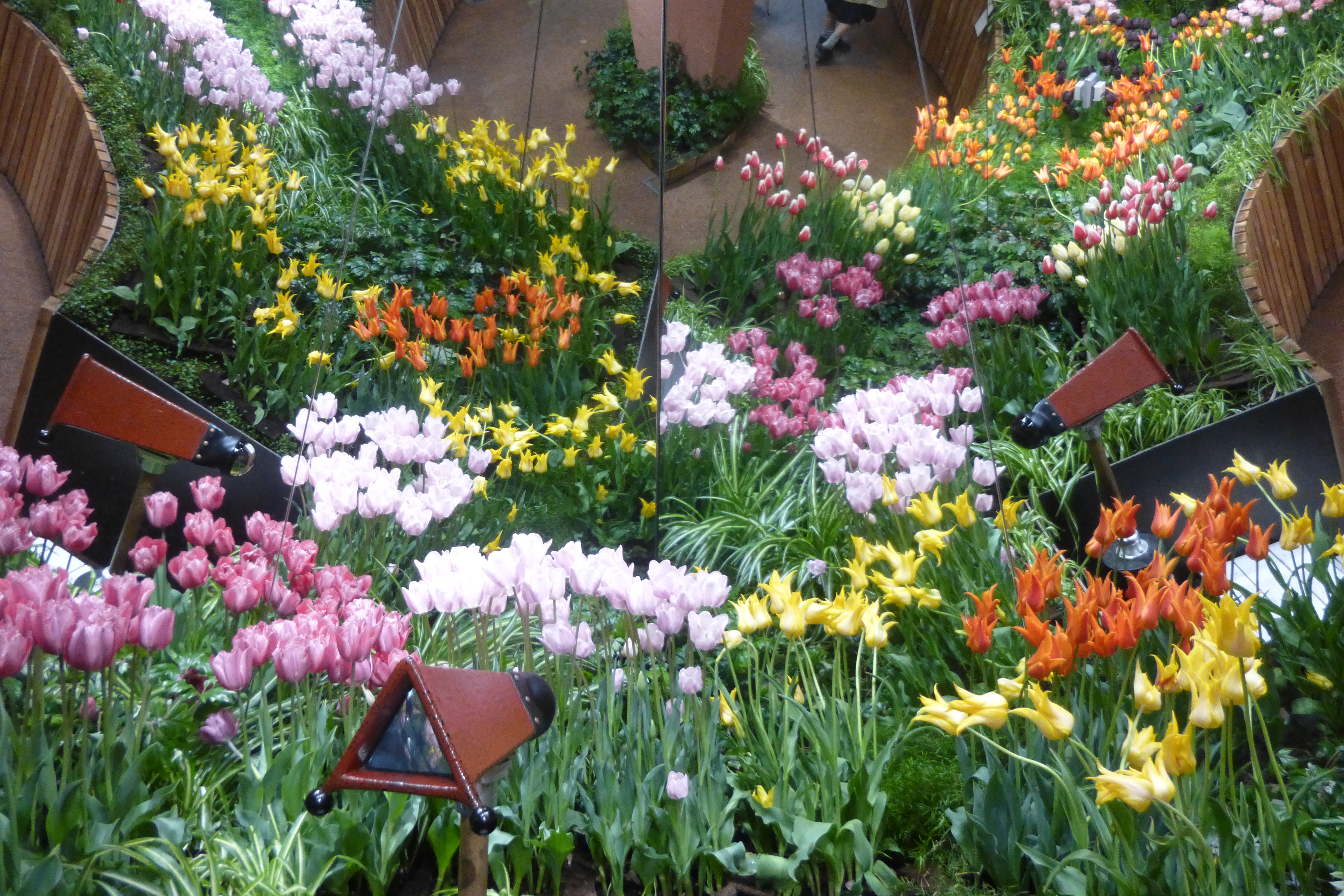 Không gian Tonami Tulip Gallery